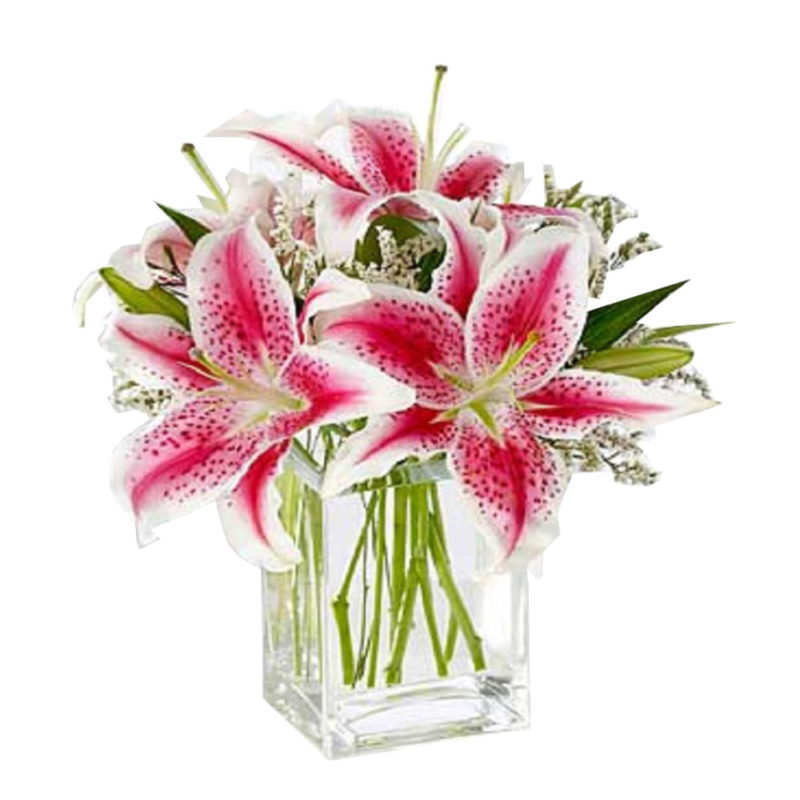 Ramo 12 Rosas Flores Paris