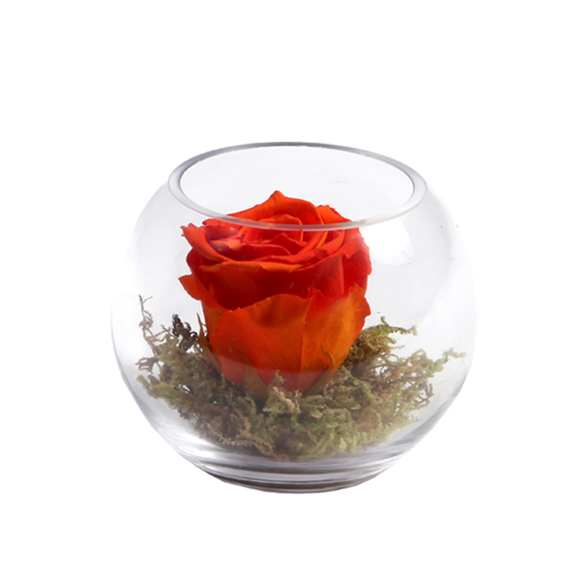 ROSA PRESERVADA EN PECERA - Flores Paris