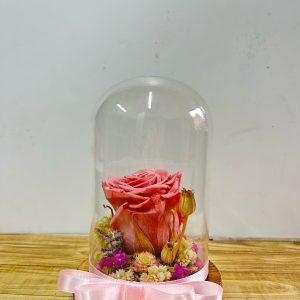 ROSA PRESERVADA EN CUPULA CON FLORECITAS