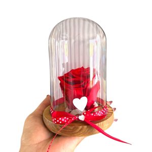 ROSA ETERNA EN CUPULA