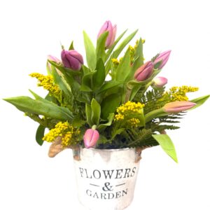BALDE DE TULIPANES LILA