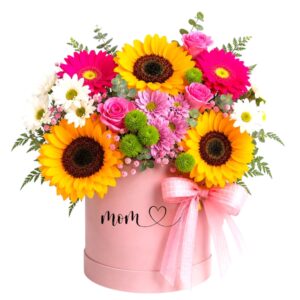 BOX DELUXE MOM